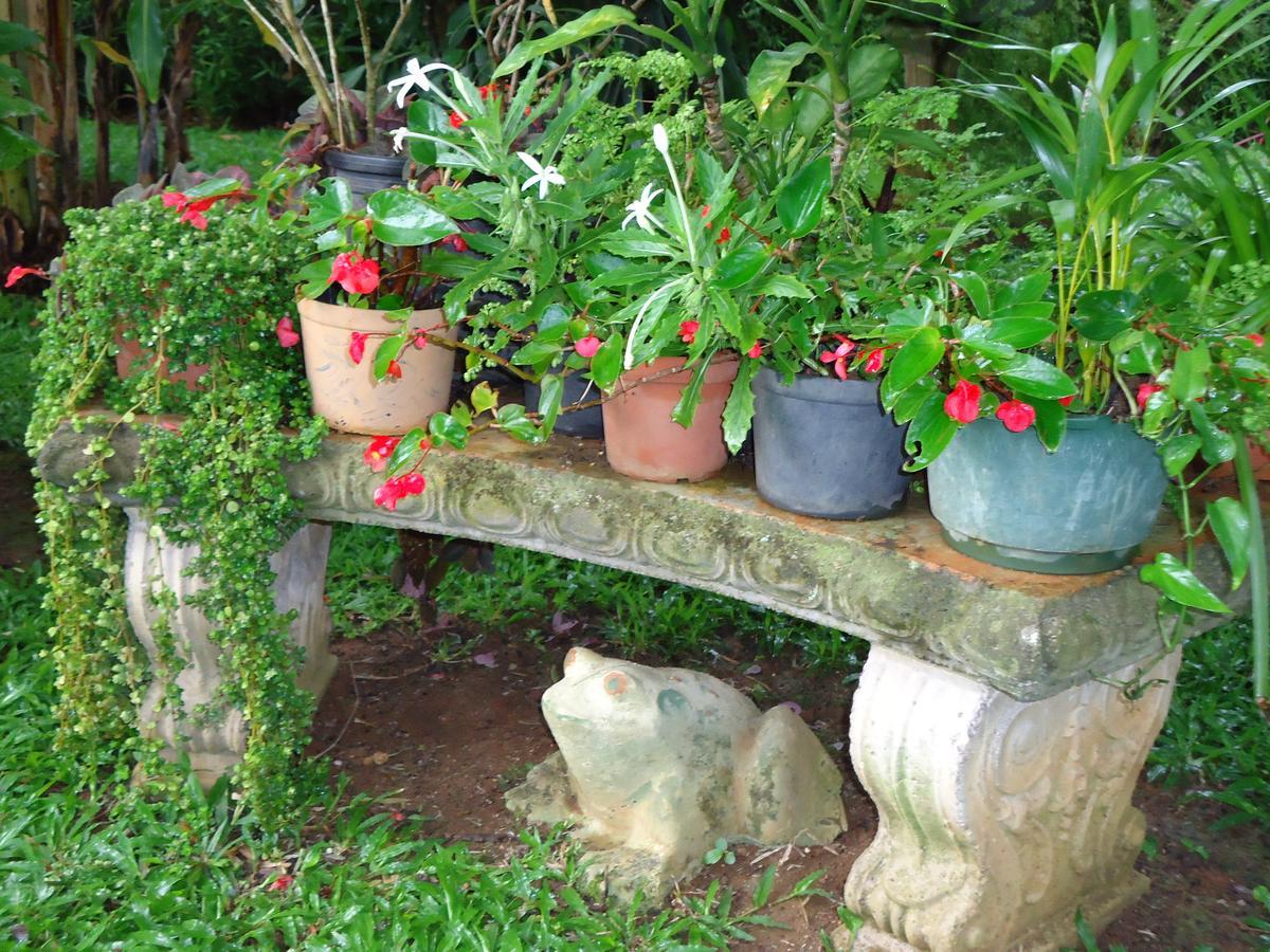 Quinta Don Fernando Bed & Breakfast La Garita  Exterior foto